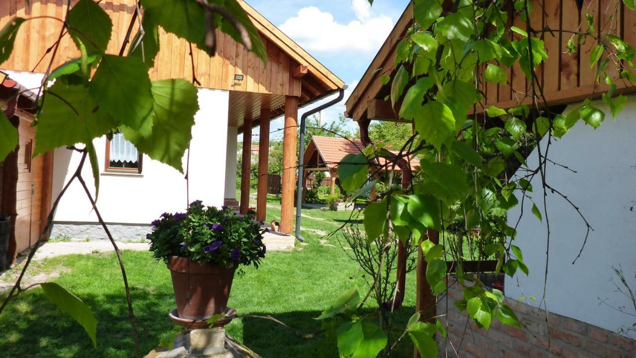 Zergeboglar Vendeghaz Villa ซิลวาชวาร็อด ภายนอก รูปภาพ