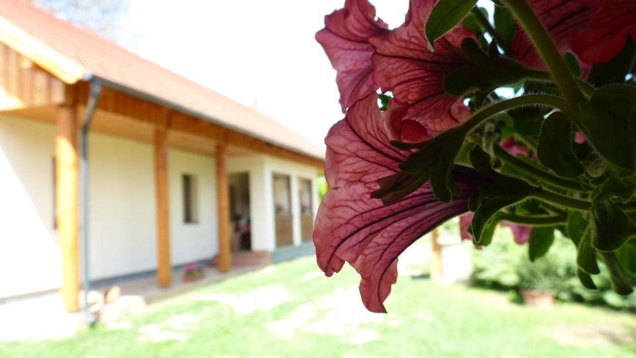 Zergeboglar Vendeghaz Villa ซิลวาชวาร็อด ภายนอก รูปภาพ